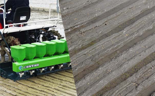 水稻精量化穴直播機世達爾農機