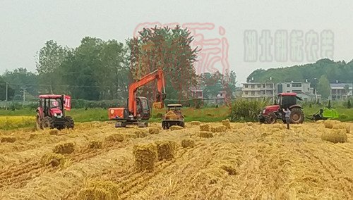 將打捆好的秸稈離田