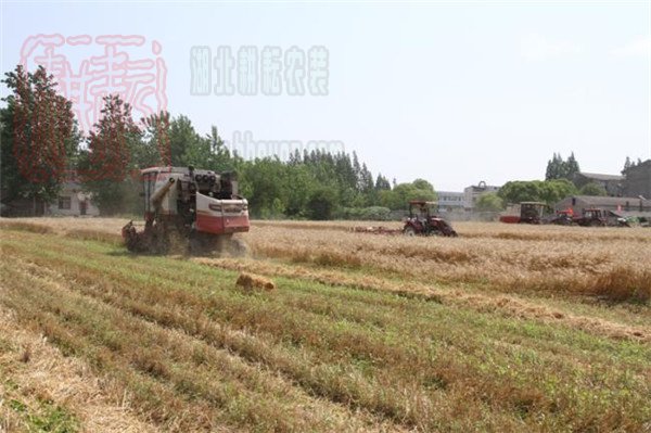 秸稈綜合利用 推進農業綠色環保發展-湖北仙桃2018年度秸稈現場會