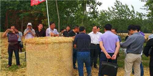 上海世達爾打捆機參加2018年天門市秸稈回收綜合利用現場會