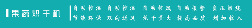 5HF-15B生物質果蔬烘干機海帝升農機