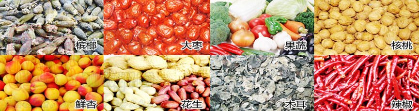 5HF-15B生物質果蔬烘干機海帝升農機