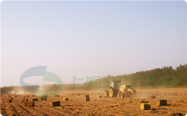 上海世達爾打捆機花生桿打捆作業圖片