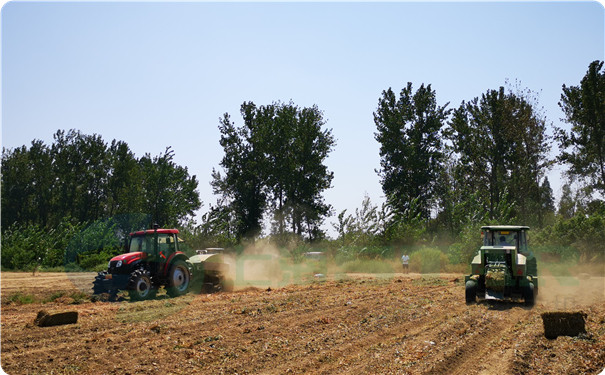 上海世達爾打捆機花生桿打捆作業圖片