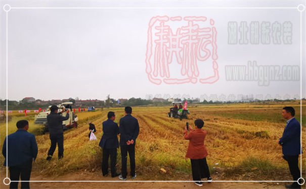 世達爾打捆機參加2019年孝昌縣秸稈綜合利用示范現場會