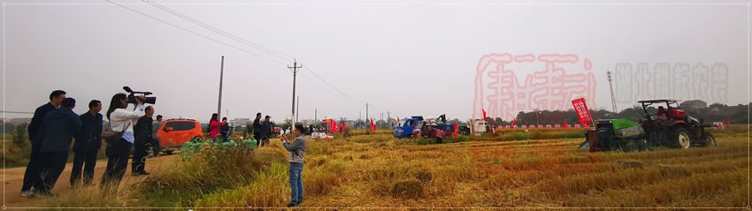 世達爾打捆機參加2019年孝昌縣秸稈綜合利用演示
