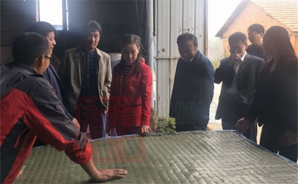 沙洋縣人大領導調研全縣秸稈綜合利用工作