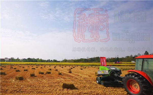 沙洋縣人大領導調研全縣秸稈綜合利用工作