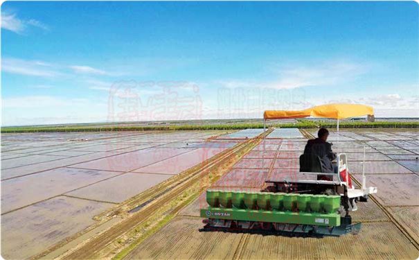 世達爾農機助力春耕 發揮主力軍作用