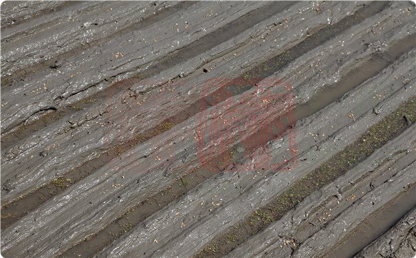 上海世達爾水稻穴直播機播種效果