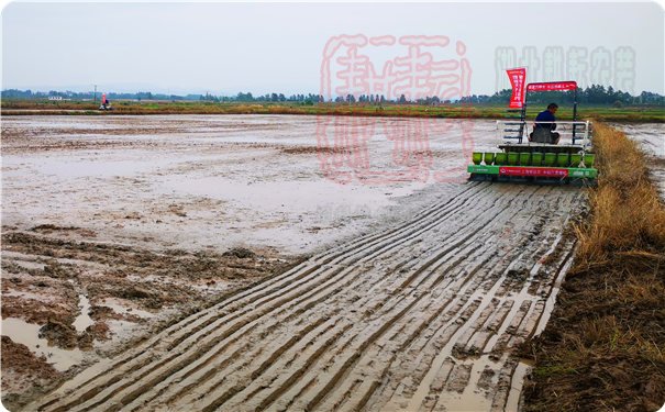 上海世達爾直播機參加團風縣水稻生產全程機械化現場會