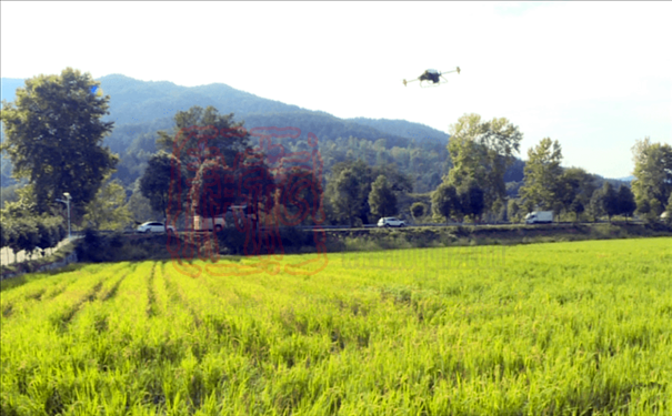 世達爾秸稈打捆機助力羅田農民秋收秋播