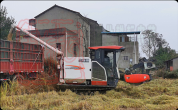 收割機在田間地頭收割水稻