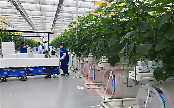 世達爾、優牧達打捆機參加湖北首屆新型農機田間展活動