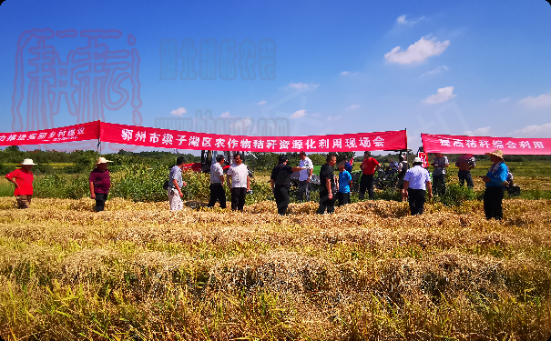 梁子湖區舉辦2021年全區農作物秸稈資源化利用現場會