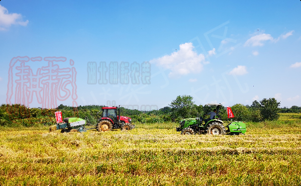 梁子湖區舉辦2021年全區農作物秸稈資源化利用現場會