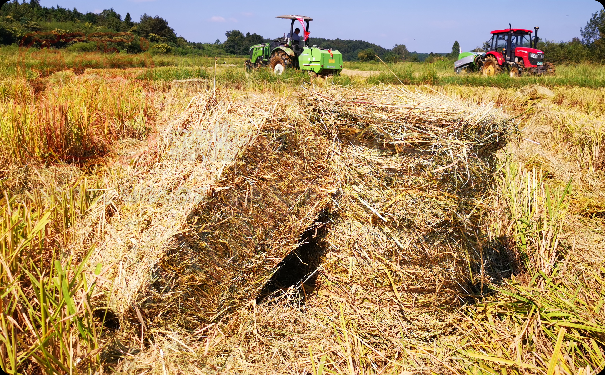 梁子湖區舉辦2021年全區農作物秸稈資源化利用現場會