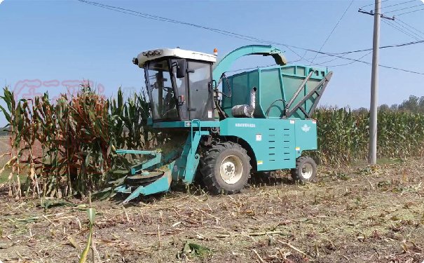 4QZ-30自走式青飼料收獲機