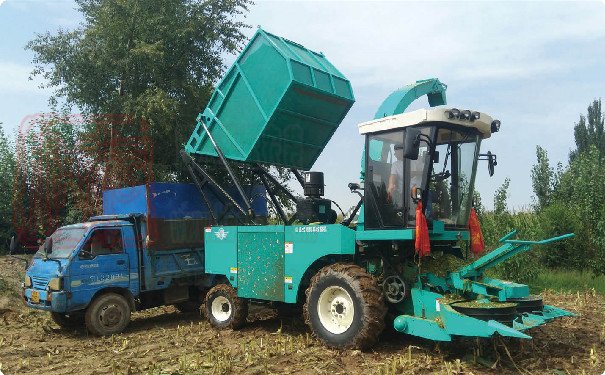 4QZ-30自走式青飼料收獲機