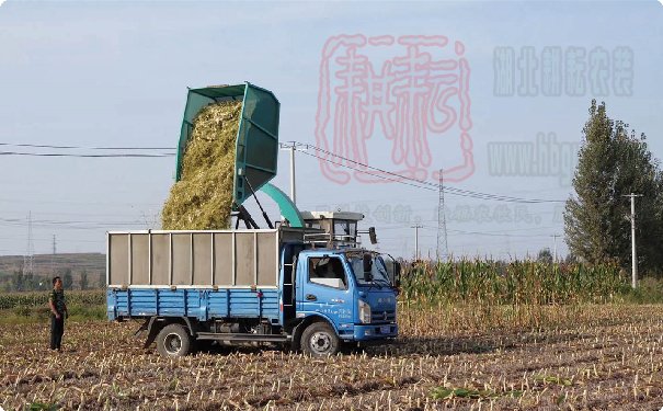 4QZ-30自走式青飼料收獲機